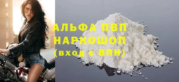 индика Абаза