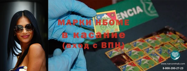 индика Абаза