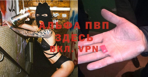 индика Абаза