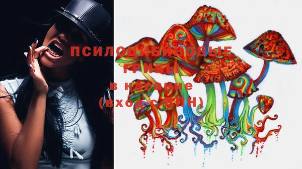 ГАЛЛЮЦИНОГЕННЫЕ ГРИБЫ Абинск