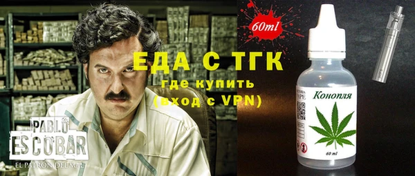 индика Абаза