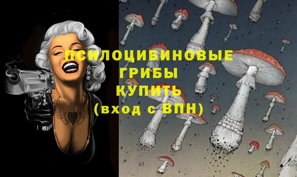 индика Абаза