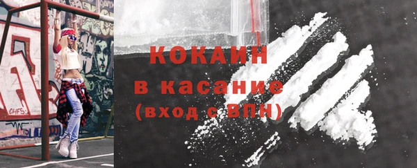 индика Абаза