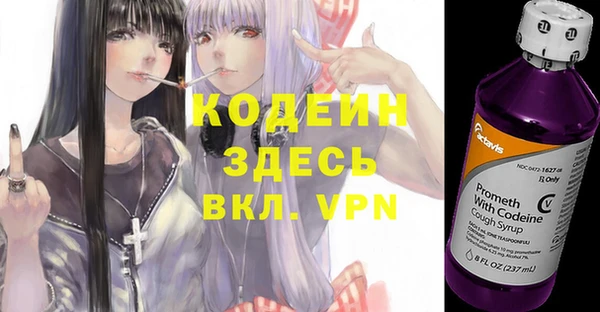 индика Абаза
