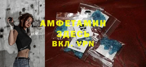 индика Абаза